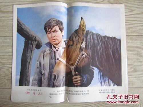 卡尔斯鲁厄工业大学艺术文凭证书
